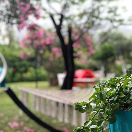 Çıralı Marina Loft Cirali Exterior foto