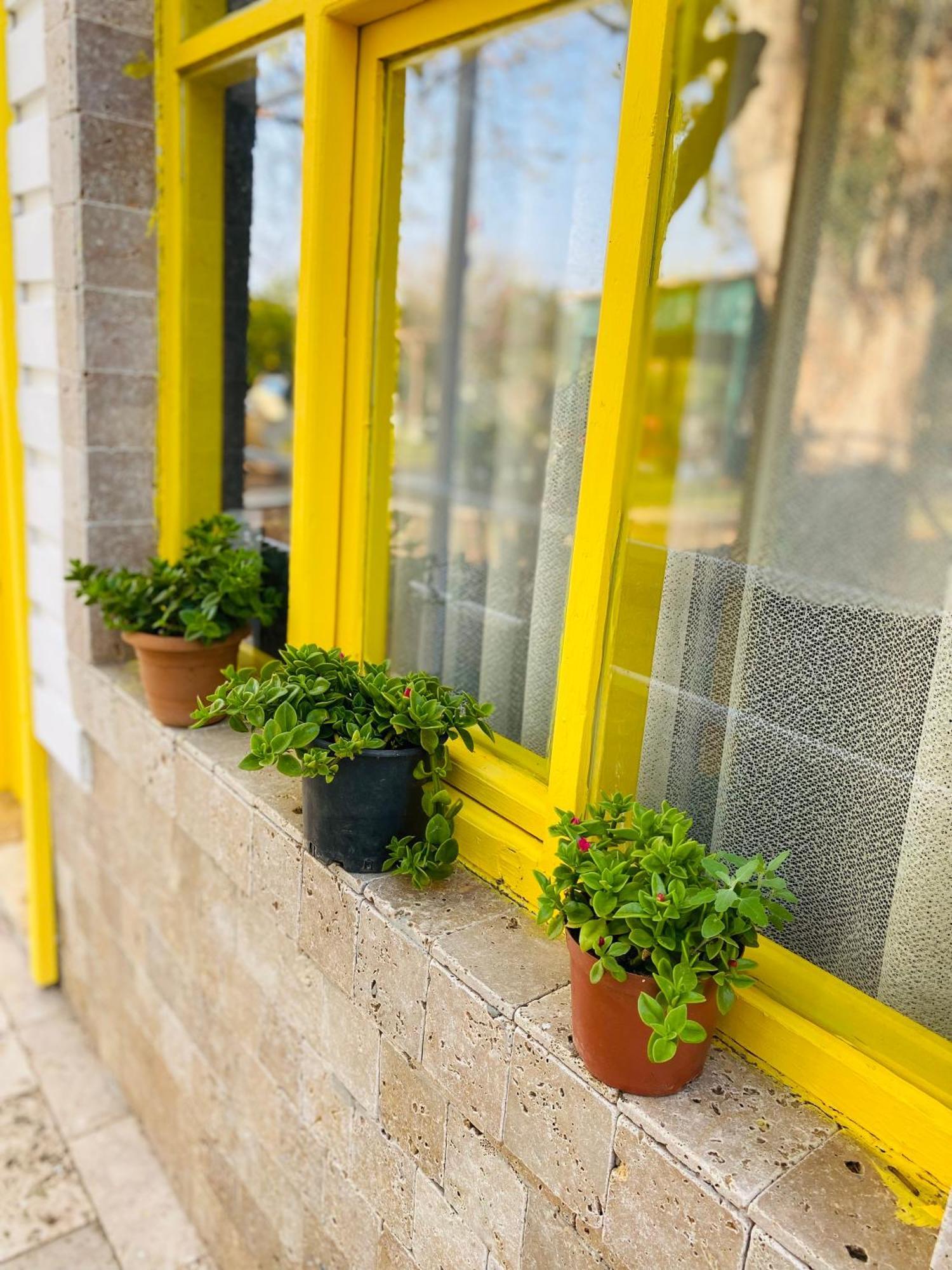 Çıralı Marina Loft Cirali Exterior foto