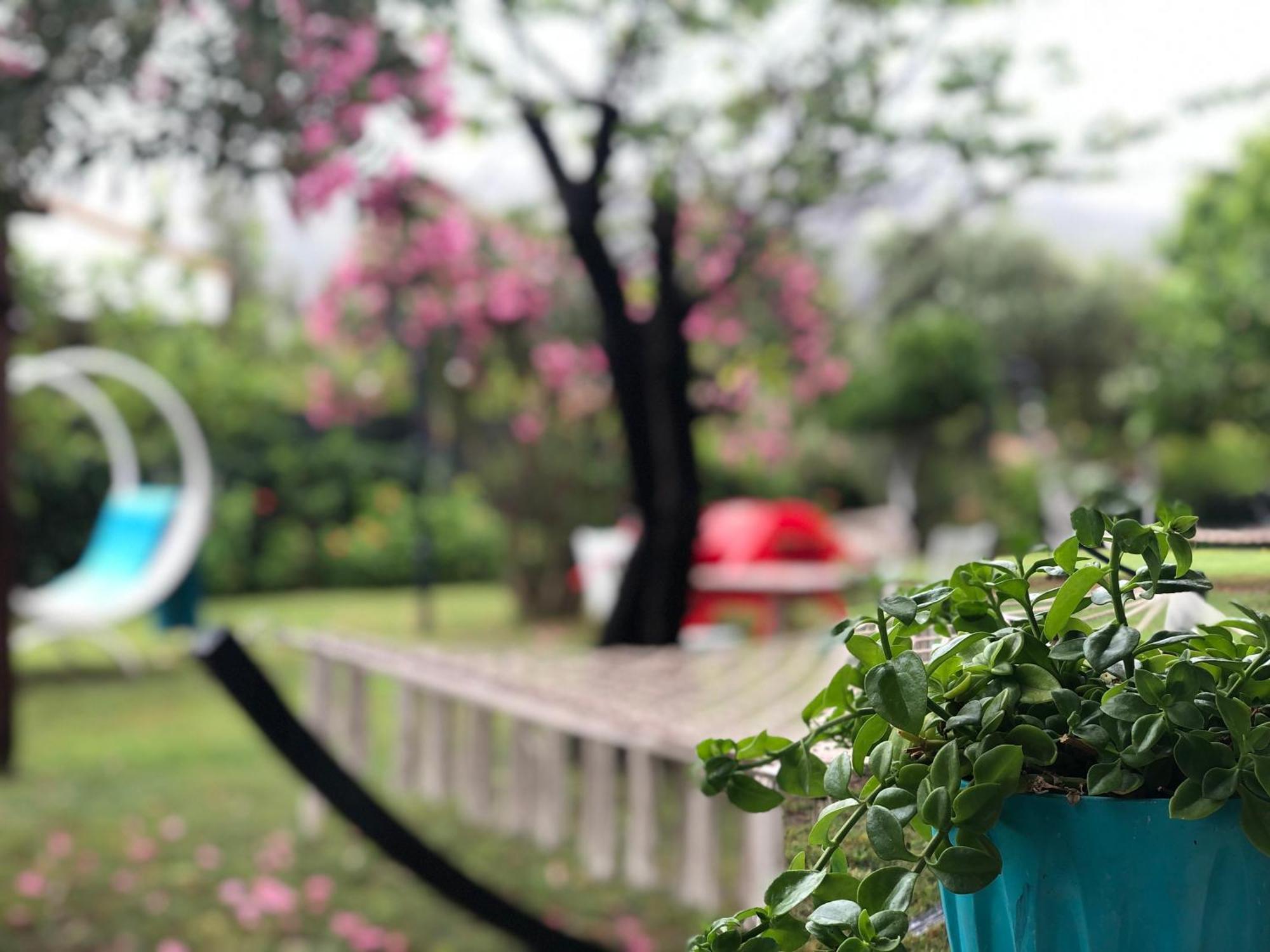 Çıralı Marina Loft Cirali Exterior foto